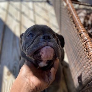 Meet your Posher, Day